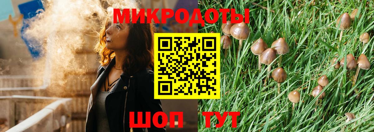 Галлюциногенные грибы Psilocybe  Вход с VPN  Псилоцибиновые грибы Psilocybe  Новочеркасск 