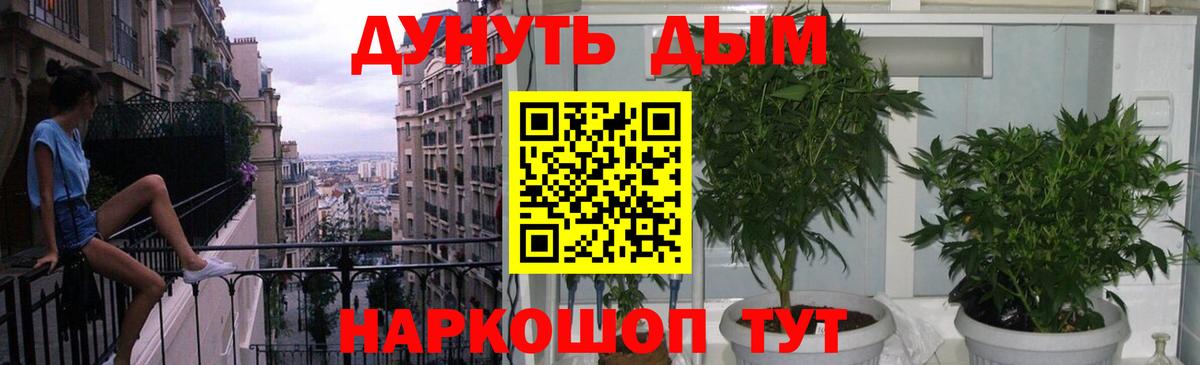 Бошки марихуана планчик Новочеркасск